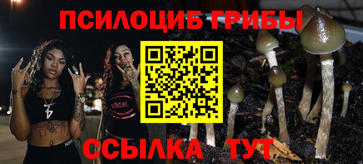 Асбест  Галлюциногенные грибы Psilocybe  как найти   Вход с VPN 